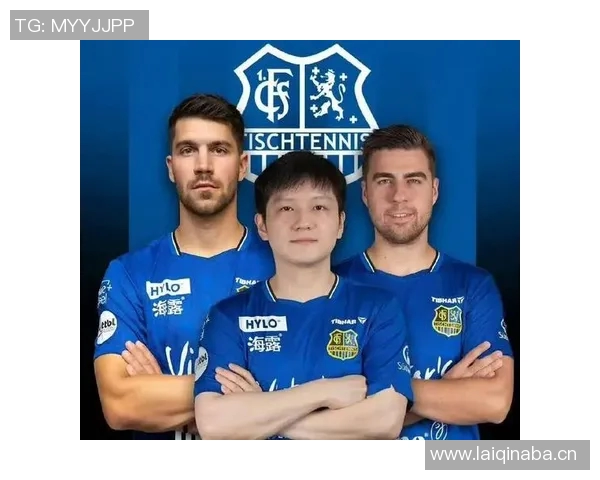 征战过德甲的球队历史及影响力分析